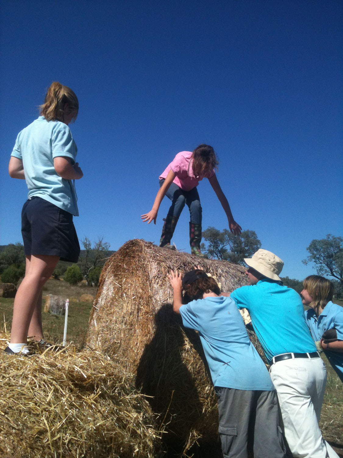 Dis location – Survival of the local