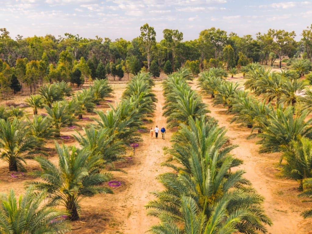 Datefarm comes of age